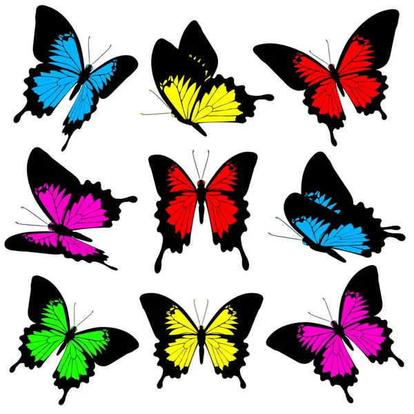 Belle farfalle di colore, set, isolato su un bianco — Foto Stock