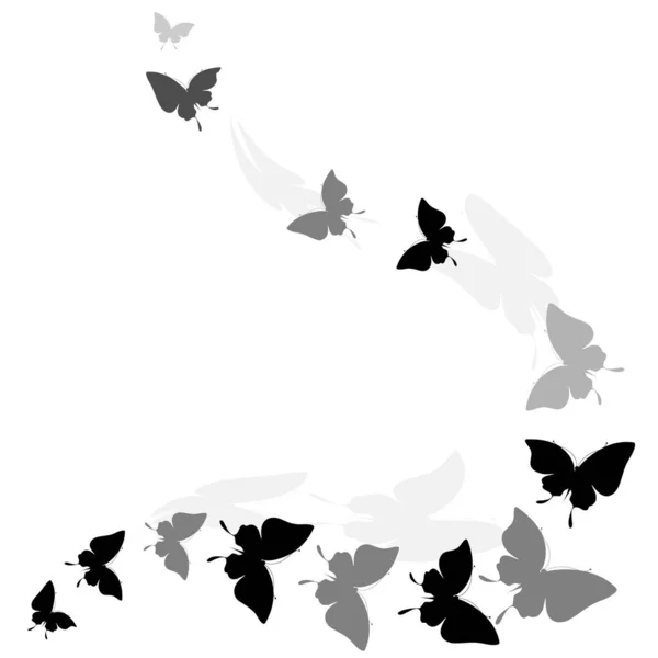 Mariposas Negras Aisladas Sobre Fondo Blanco — Vector de stock