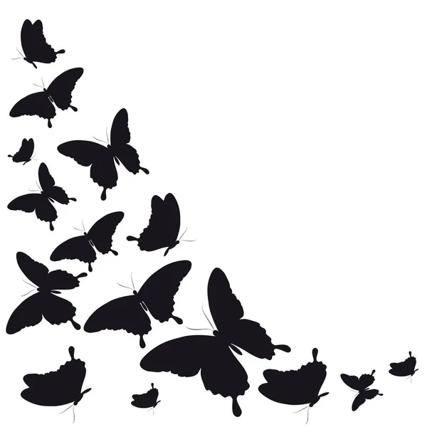 Fekete Pillangók Elszigetelt Fehér Háttér — Stock Vector