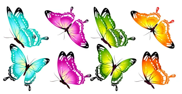 Beautiful Colorful Butterflies Isolated White Background Close View — Stock Vector