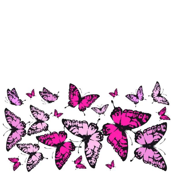 Ensemble Papillons Rose Vif Isolés Sur Fond Blanc — Photo