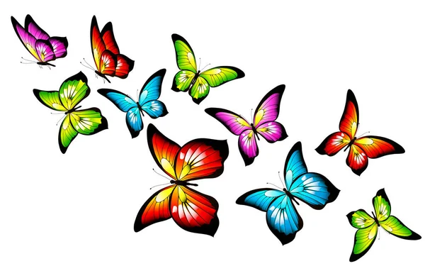 Sada Zářivě Barevné Motýly Izolovaných Bílém Pozadí — Stock fotografie