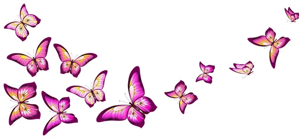 Set Med Ljusa Rosa Fjärilar Isolerad Vit Bakgrund — Stockfoto