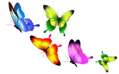 Beyaz arka plan üzerinde izole parlak renkli kelebekler dizi