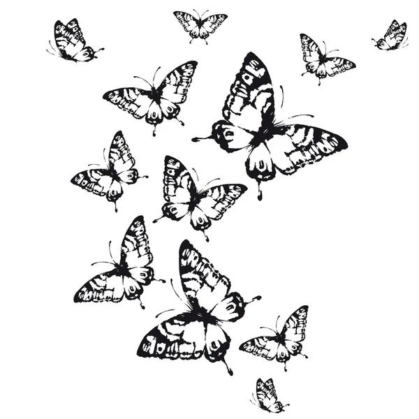 白を基調とした蝶の黒いシルエット春のコンセプト — ストック写真