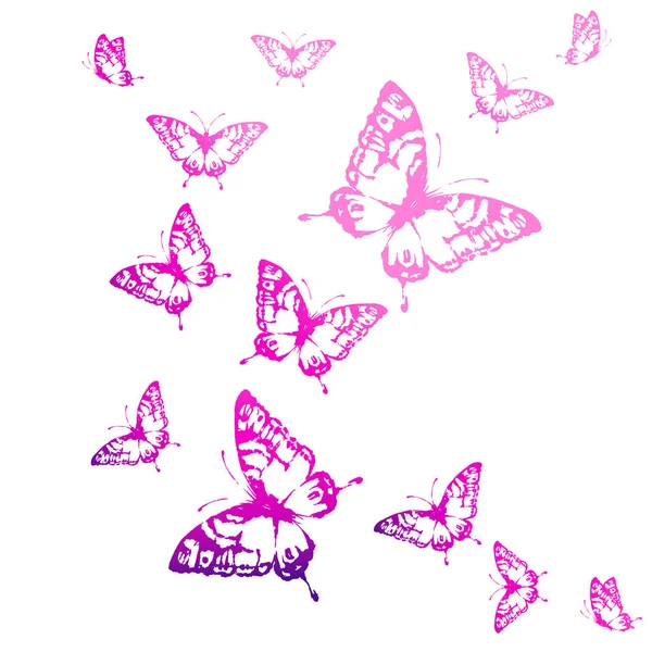 Sada Jasně Růžových Motýlů Izolovaných Bílém Pozadí Jarní Koncept — Stockový vektor