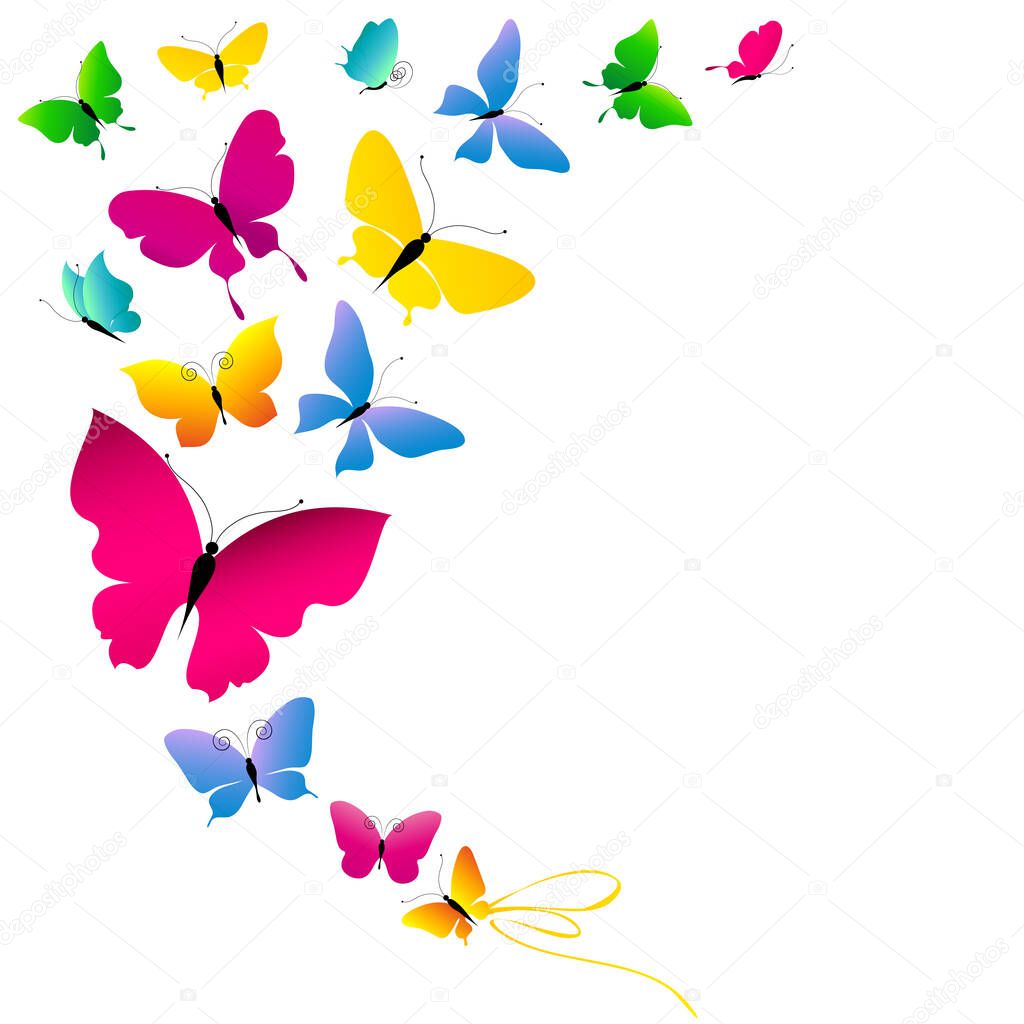 Set of bright colorful butterflies isolated on white background, spring concept 