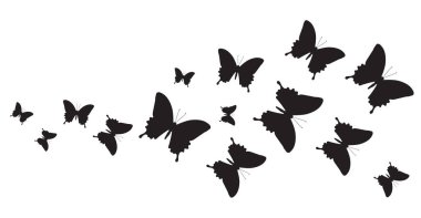 Beyaz arka planda izole edilmiş siyah kelebek siluetleri, bahar konsepti 