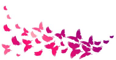 Beyaz arka planda izole edilmiş parlak pembe kelebekler. Bahar konsepti. 