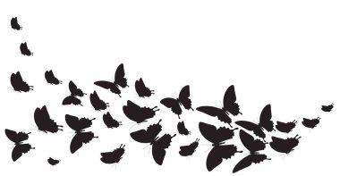 Beyaz arka planda izole edilmiş siyah kelebek siluetleri, bahar konsepti 