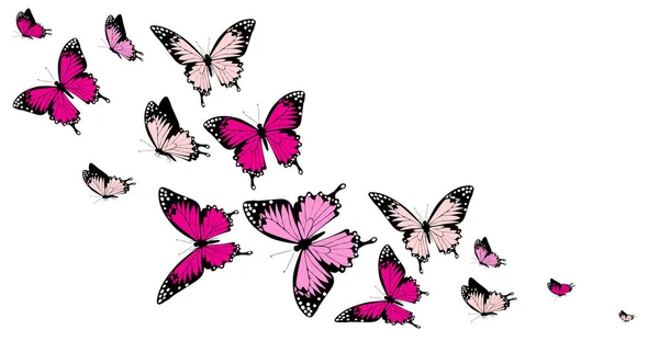 Sada Jasně Růžových Motýlů Izolovaných Bílém Pozadí Jarní Koncept — Stockový vektor