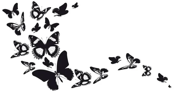 Silhouettes Noires Papillons Isolés Sur Fond Blanc Concept Printemps — Image vectorielle