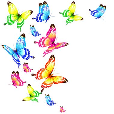 Beyaz arka plan ve bahar konseptine izole edilmiş parlak renkli kelebekler. 