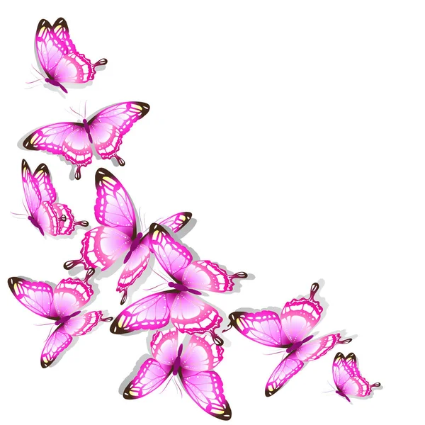 Set Van Felgekleurde Vlinders Geïsoleerd Witte Achtergrond Lente Concept — Stockfoto