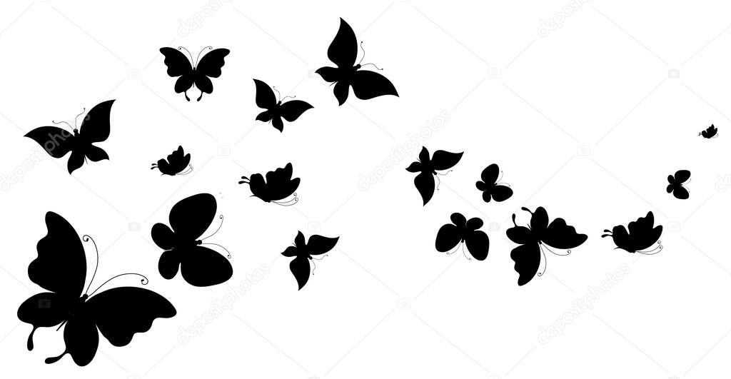black silhouettes of butterflies isolated on white background, spring concept 