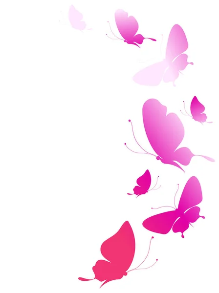 一套色彩艳丽的蝴蝶 白色背景 春意盎然 — 图库矢量图片