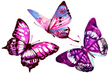 Beyaz arka plan ve bahar konseptine izole edilmiş parlak renkli kelebekler. 