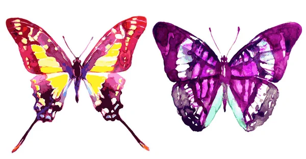 Set Farfalle Colorate Isolate Sfondo Bianco Concetto Primavera — Vettoriale Stock