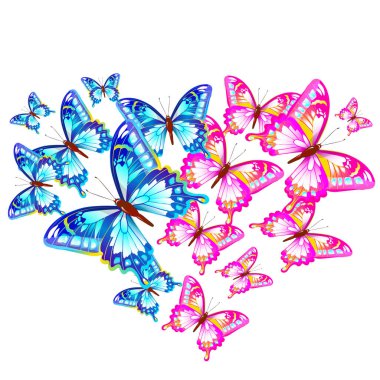 Beyaz arka plan ve bahar konseptine izole edilmiş parlak renkli kelebekler. 