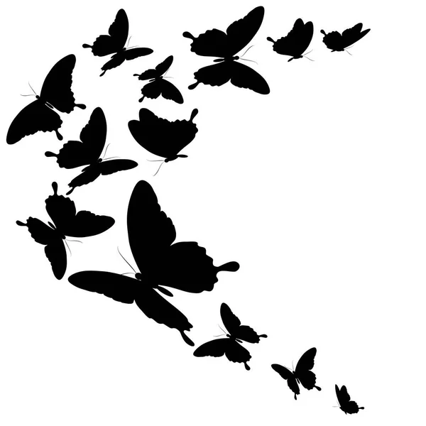 Conjunto Mariposas Negras Aisladas Sobre Fondo Blanco Concepto Primavera — Vector de stock