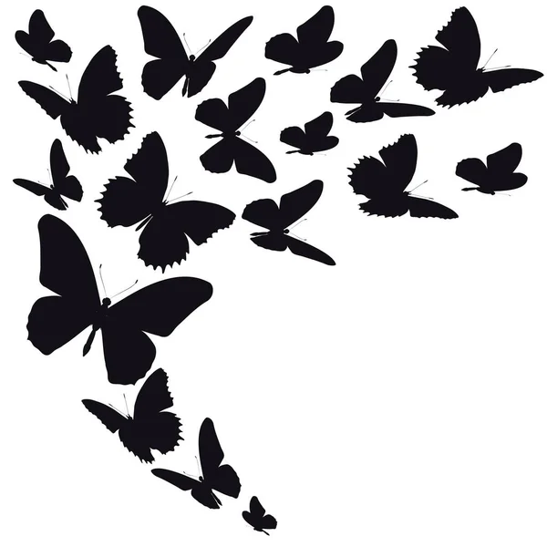 Conjunto Mariposas Negras Aisladas Sobre Fondo Blanco Concepto Primavera — Vector de stock