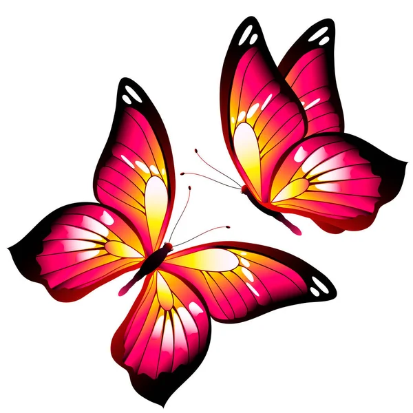 Conjunto Mariposas Rosadas Aisladas Sobre Fondo Blanco Concepto Primavera — Vector de stock