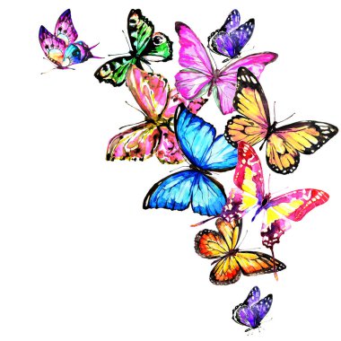 Beyaz arka plan ve bahar konseptine izole edilmiş parlak renkli kelebekler. 