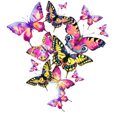 Beyaz arka plan ve bahar konseptine izole edilmiş parlak renkli kelebekler. 