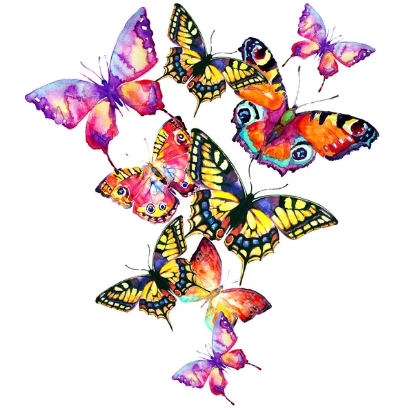 Set Bright Colorful Butterflies Isolated White Background Spring Concept — Stock Photo, Image