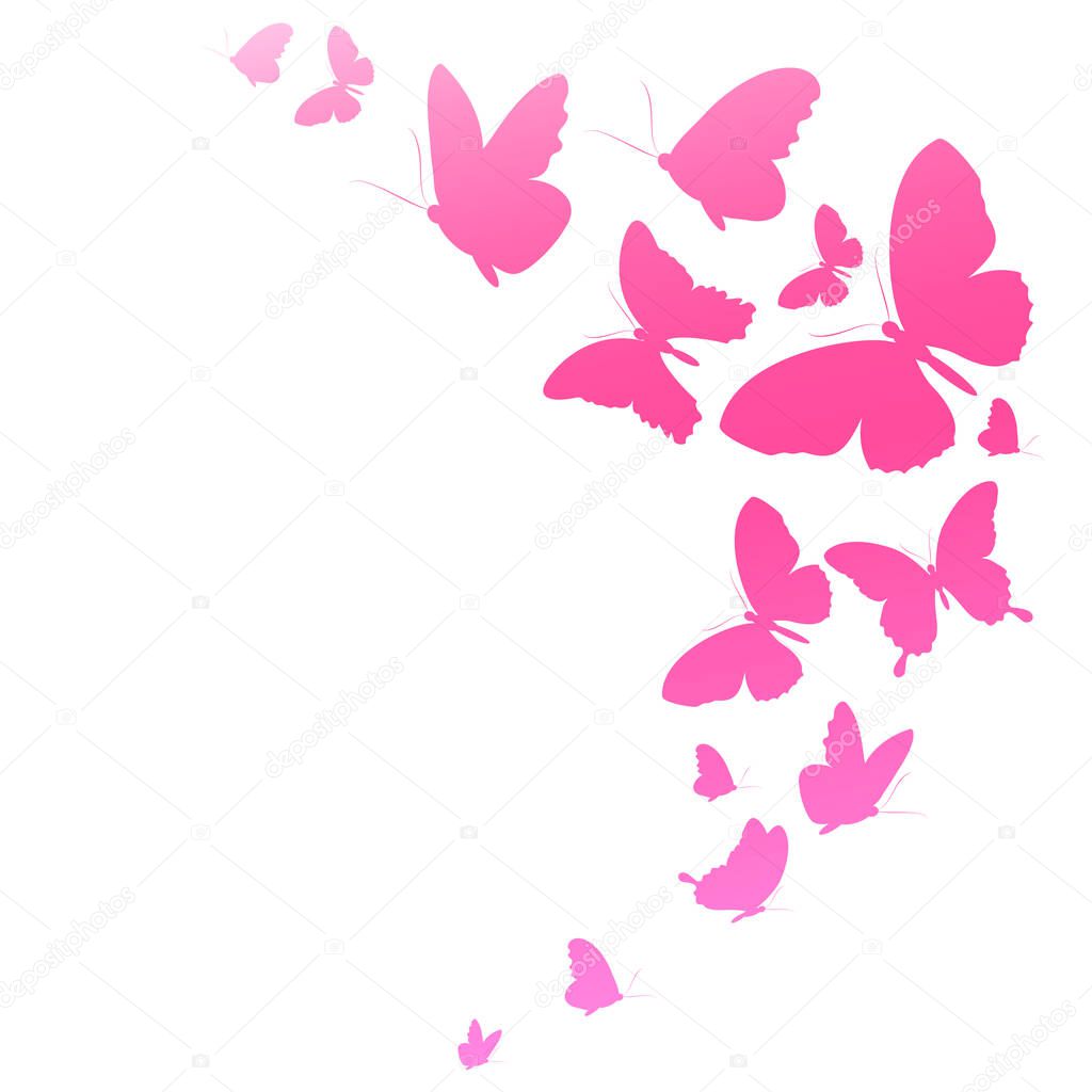 Set of pink butterflies isolated on white background, spring concept 