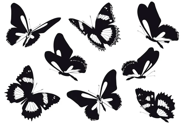 Ensemble Papillons Noirs Isolés Sur Fond Blanc Concept Printemps — Photo