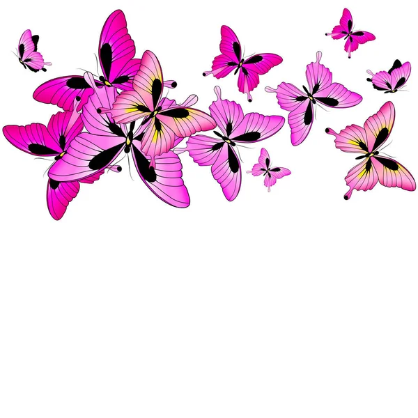 Mariposas Colores Brillantes Aisladas Sobre Fondo Blanco Concepto Primavera — Vector de stock