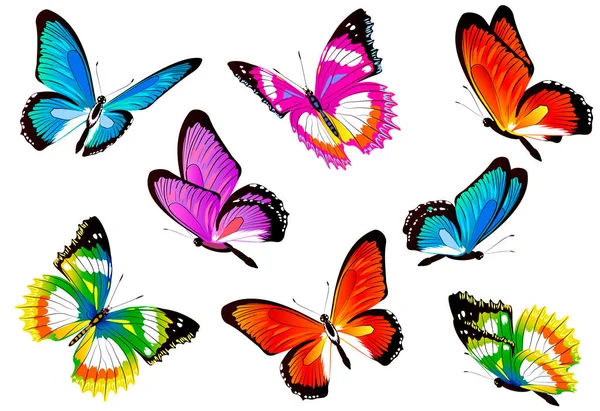 Papillons Colorés Lumineux Isolés Sur Fond Blanc Concept Printemps — Image vectorielle