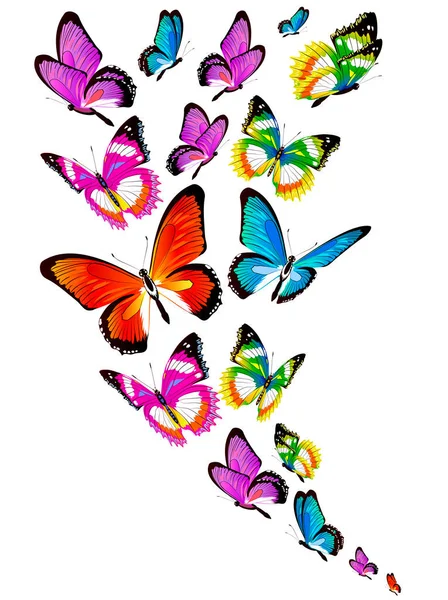 Helle Bunte Schmetterlinge Isoliert Auf Weißem Hintergrund Frühlingskonzept — Stockvektor