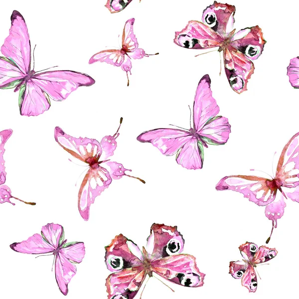 Bright Colorful Butterflies Isolated White Background Spring Concept — Stock Photo, Image