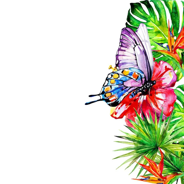 Palmblätter Und Schöner Schmetterling Mit Blüten Auf Weißem Hintergrund — Stockfoto