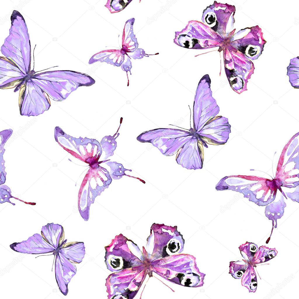 bright colorful butterflies isolated on white background, spring concept 