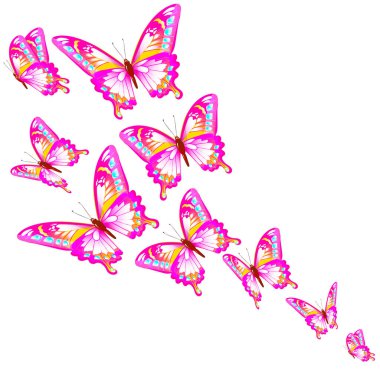 Beyaz arka planda izole edilmiş parlak renkli kelebekler, bahar konsepti 