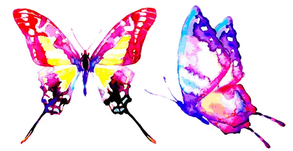 Φωτεινό Πολύχρωμο Πεταλούδες Που Απομονώνονται Λευκό Φόντο Την Άνοιξη Έννοια — Φωτογραφία Αρχείου