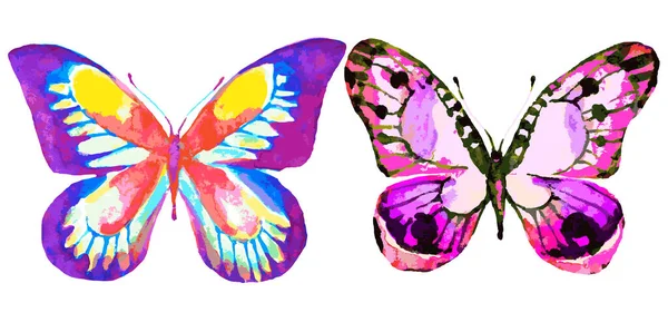 Яркие Красочные Бабочки Изолированы Белом Фоне Весенняя Концепция — стоковое фото