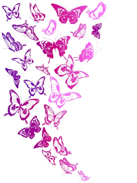 Mariposas Colores Brillantes Aisladas Sobre Fondo Blanco Concepto Primavera — Vector de stock