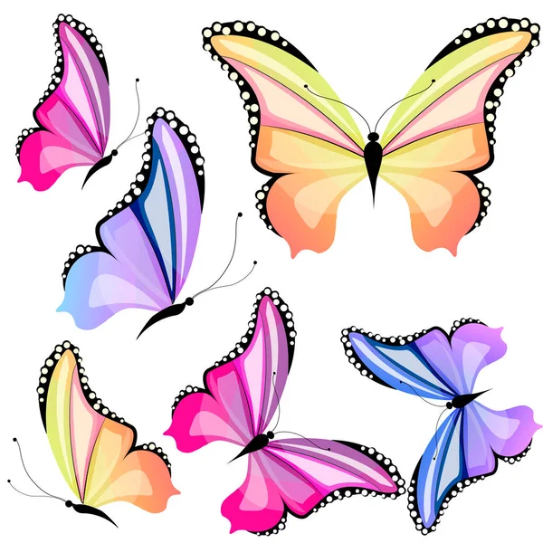bright colorful butterflies isolated on white background, spring concept