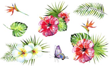 Palmiye yapraklı desen ve beyaz arka planda izole edilmiş kelebekli tropik çiçekler.