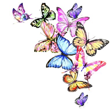 Beyaz arka planda izole edilmiş parlak renkli kelebekler, bahar konsepti 