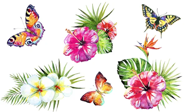 Patrón Con Hojas Palma Flores Tropicales Con Mariposas Aisladas Sobre — Foto de Stock