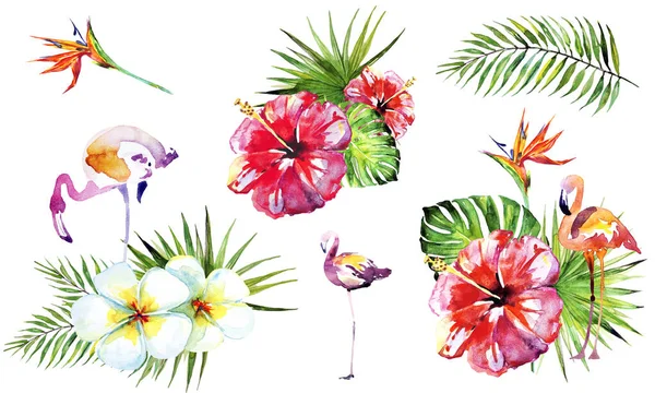 白い背景にフラミンゴが孤立したヤシの葉と熱帯の花のパターン — ストック写真