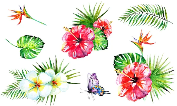 pattern with palm leaves and tropical flowers with butterflies isolated on white background