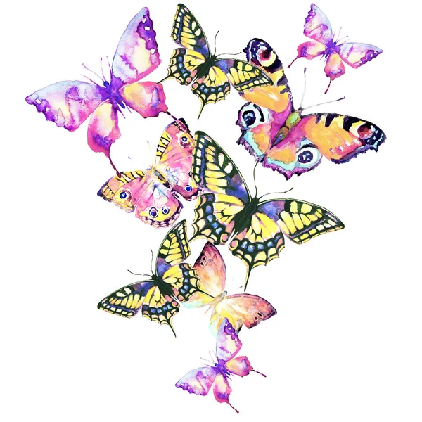 Яскраві Барвисті Метелики Ізольовані Білому Тлі Весняна Концепція — стокове фото