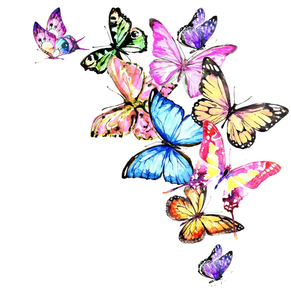Heldere Kleurrijke Vlinders Geïsoleerd Witte Achtergrond Voorjaar Concept — Stockfoto