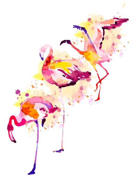 Beautiful Watercolor Flamingos Isolated White Background — Stock Vector